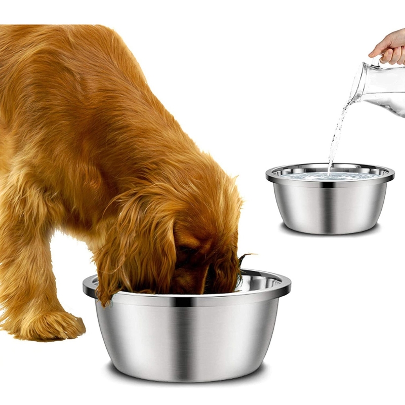 Royal Canin Food Medium - Mangeoires pour chiens en acier inoxydable,